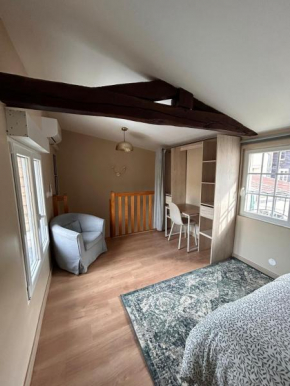 Appartement F1 duplex Hyper centre